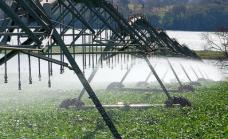 Governo de SP lança linha de créditos com juros zero para agricultores