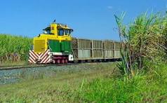 Austrália eleva cota de exportação de açúcar para EUA sob Parceria Transpacífico