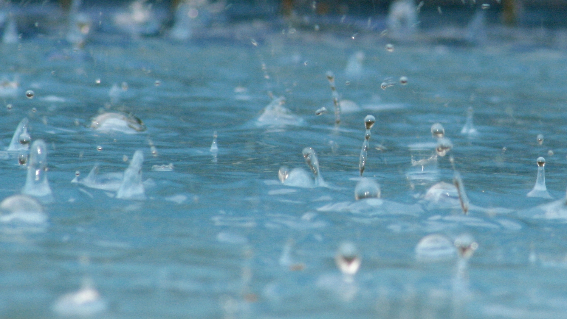 As vantagens de armazenar água da chuva para irrigação